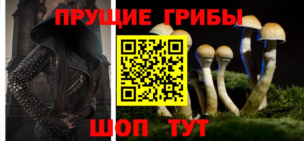 Белебей  Галлюциногенные грибы Psilocybe  Вход с VPN 